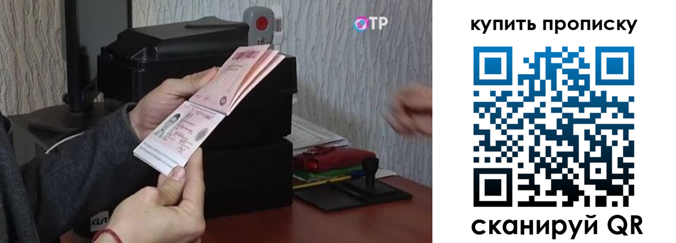 прописка гарантия в Трубчевске